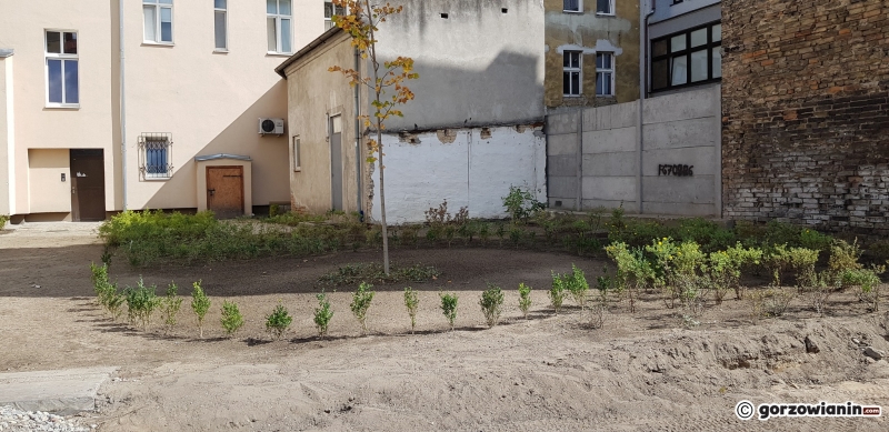 8/10 Renowacja podwórek w Śródmieściu