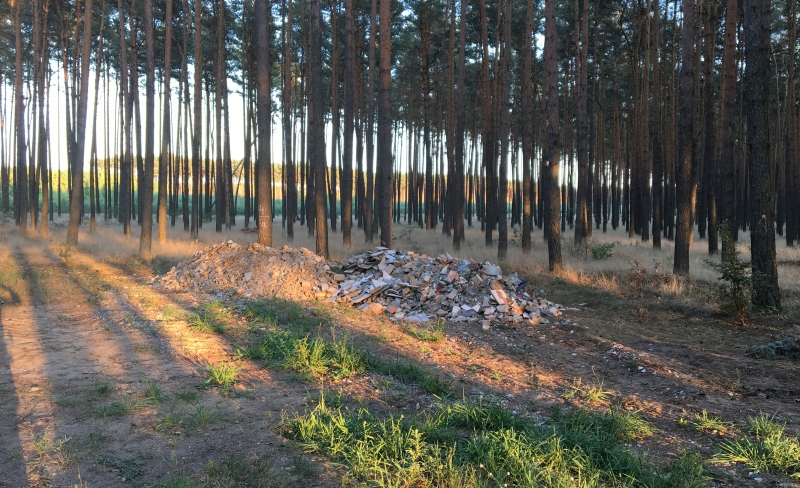 2/4 Śmieci na skraju lasu