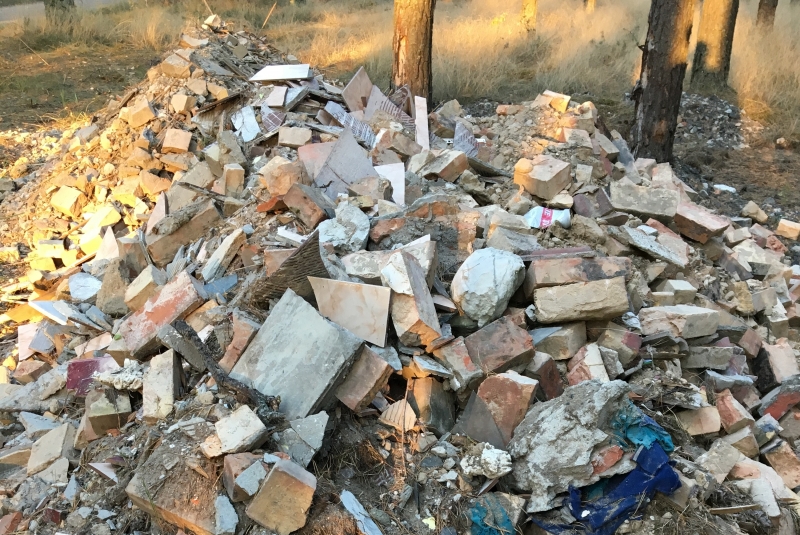 4/4 Śmieci na skraju lasu