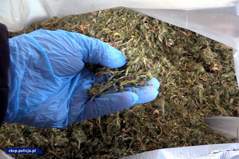 9/16 CBŚP zlikwidowało nielegalne laboratorium