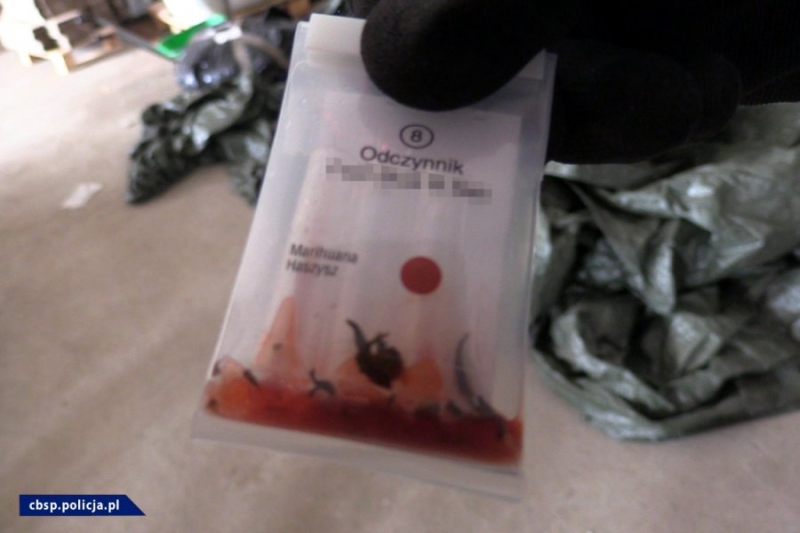 15/16 CBŚP zlikwidowało nielegalne laboratorium