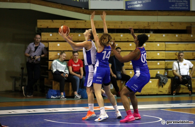 10/10 Sparing: Gorzów-Poznań