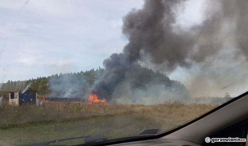 2/17 Pożar ciężarówki pod Gorzowem