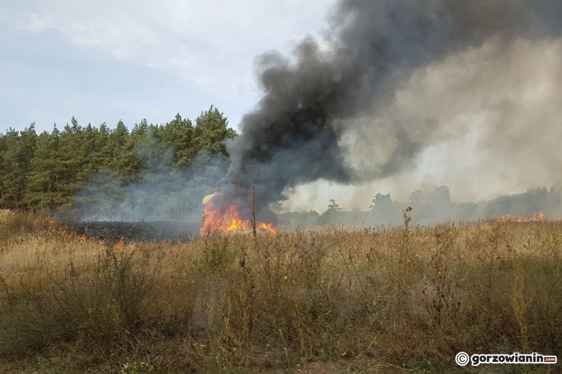 3/17 Pożar ciężarówki pod Gorzowem