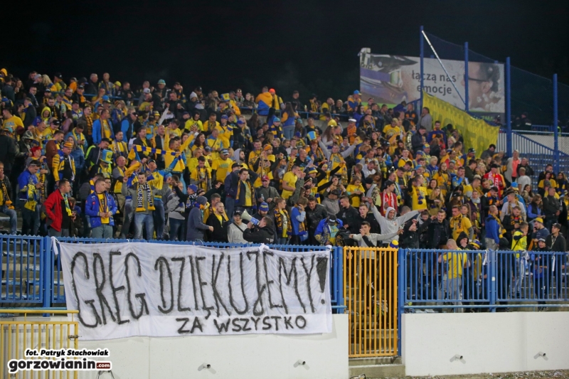 33/50 Srebro Stali Gorzów