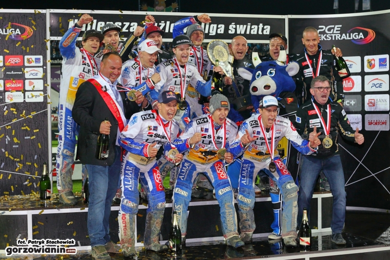 49/50 Srebro Stali Gorzów