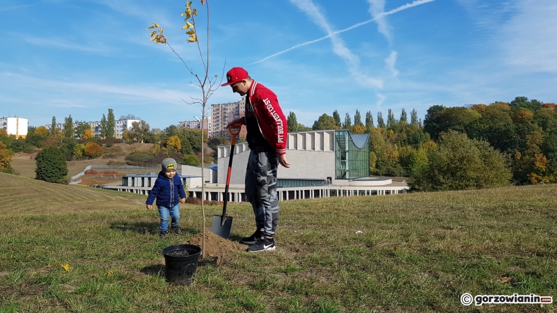 3/6 Gorzowianie posadzili drzewka