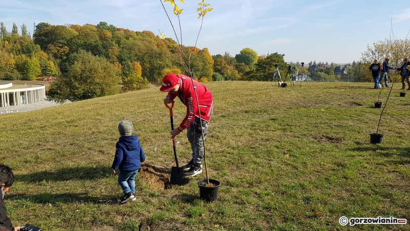 4/6 Gorzowianie posadzili drzewka