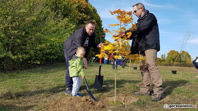 6/6 Gorzowianie posadzili drzewka