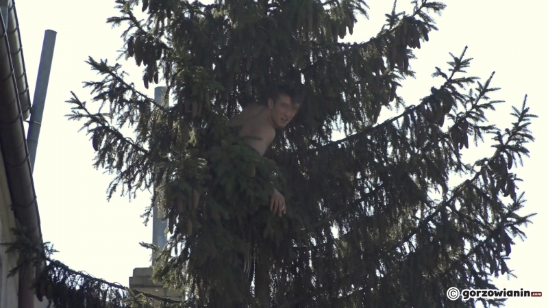 5/5 Nietypowa akcja służb w Śródmieściu