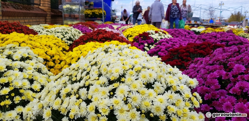 4/8 Wszystkich Świętych w Gorzowie