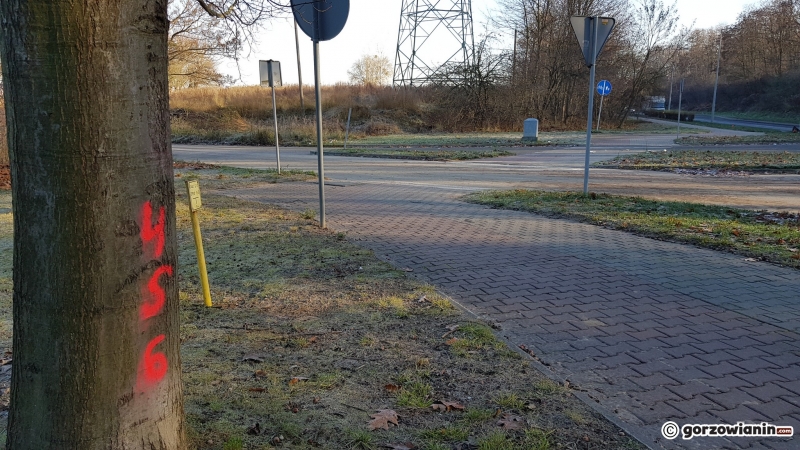 10/10 Drzewa do wycinki przy DK22