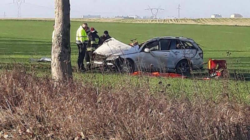 4/4 Kierowca mercedesa uderzył w drzewo