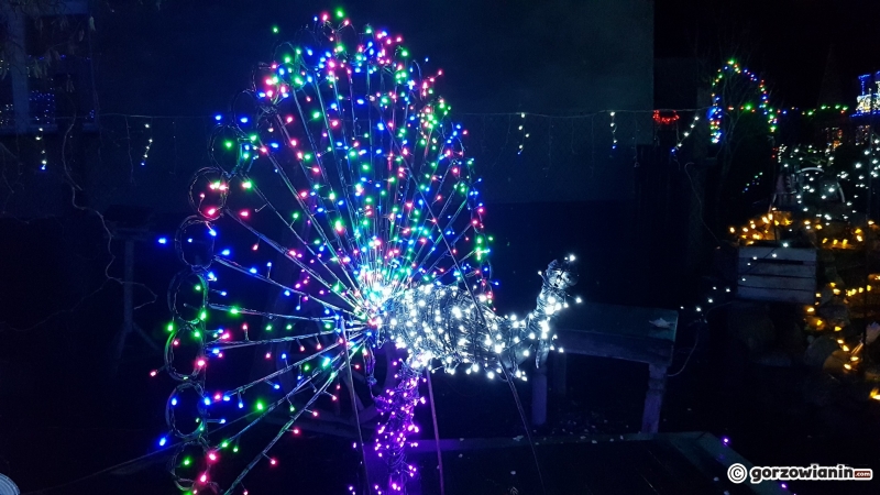 12/15 Lubuskie Las Vegas