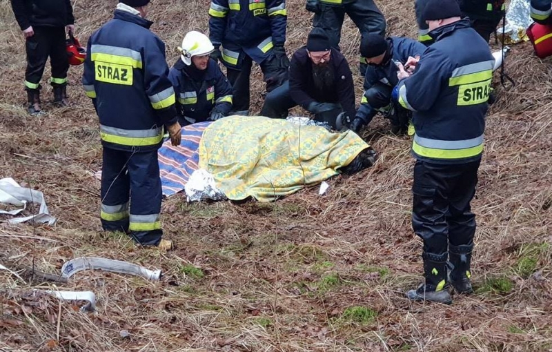 3/4 Akcja ratunkowa żubra