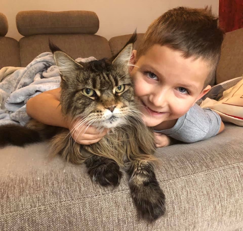 49/59 Kocie piękności naszych czytelników