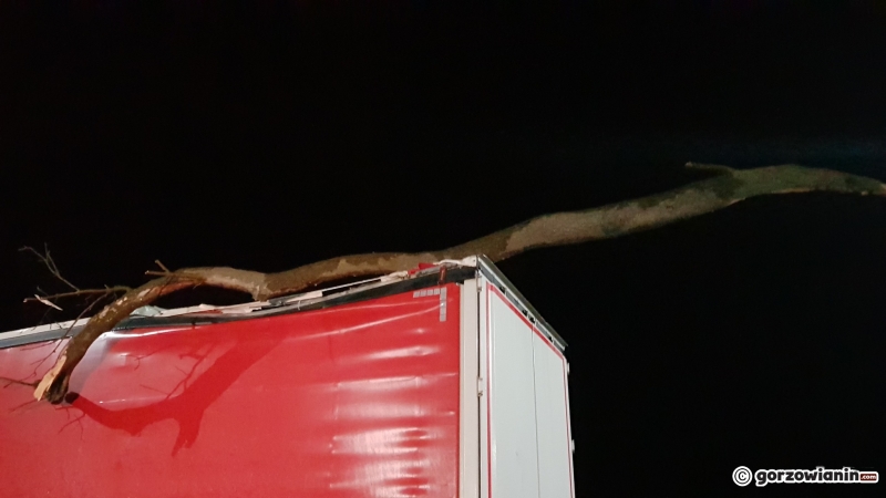 5/7 Konar drzewa spadł na ciężarówkę