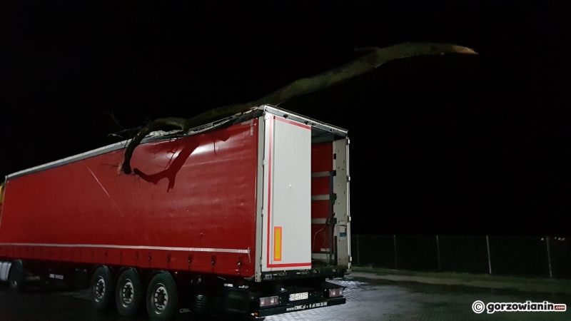7/7 Konar drzewa spadł na ciężarówkę