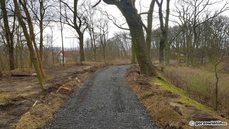 3/17 Rewitalizacja parku Siemiradzkiego