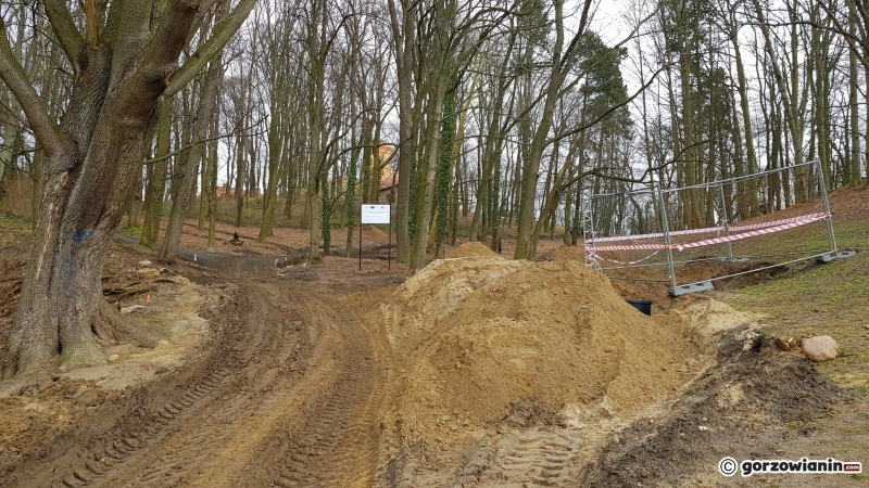 5/17 Rewitalizacja parku Siemiradzkiego