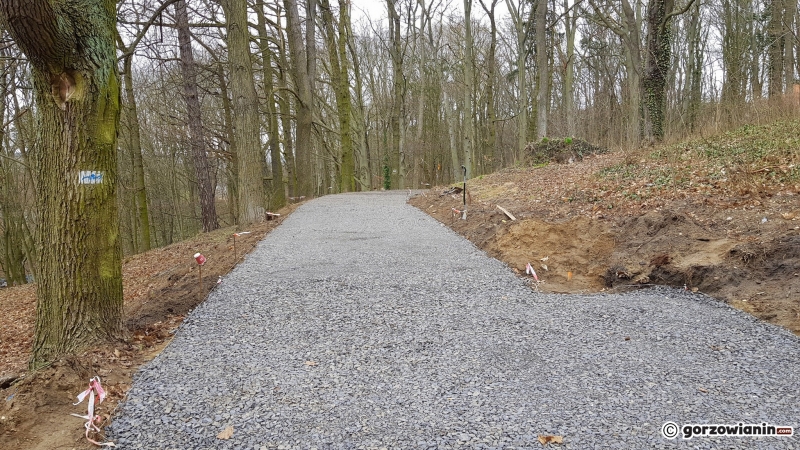 6/17 Rewitalizacja parku Siemiradzkiego