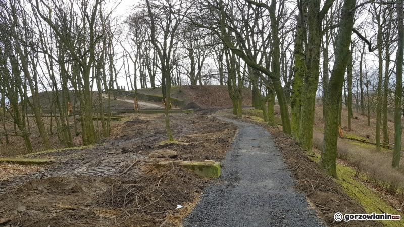 7/17 Rewitalizacja parku Siemiradzkiego