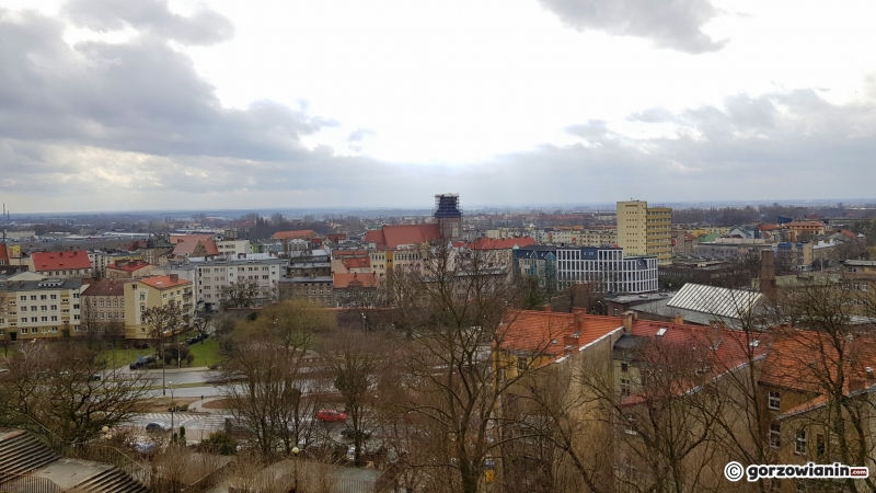 8/17 Rewitalizacja parku Siemiradzkiego