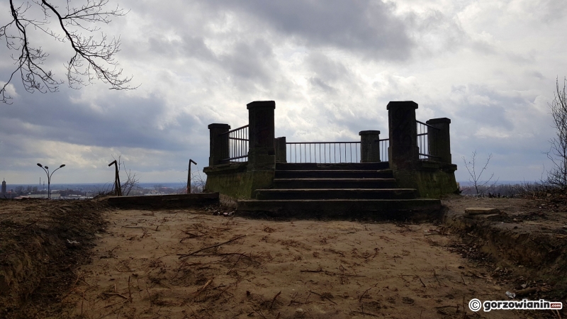 9/17 Rewitalizacja parku Siemiradzkiego