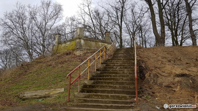 14/17 Rewitalizacja parku Siemiradzkiego