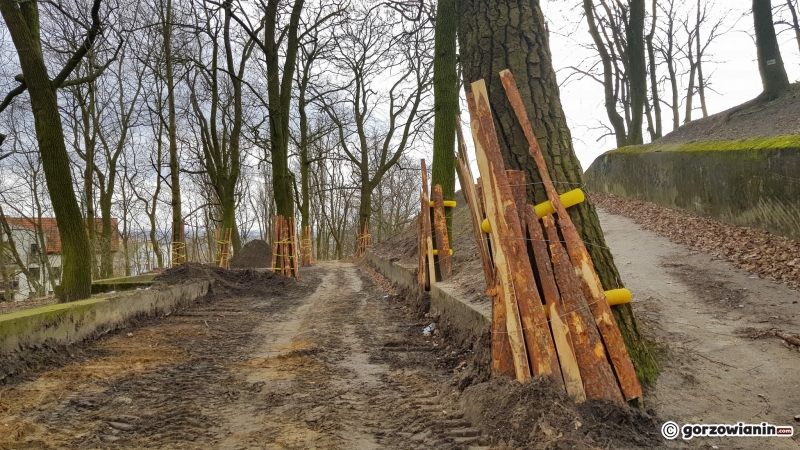 17/17 Rewitalizacja parku Siemiradzkiego