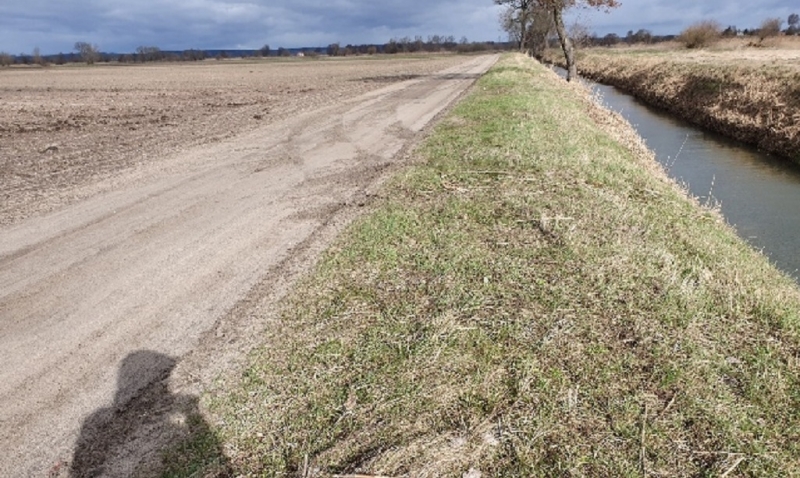 6/6 Auto wylądowało w kanale