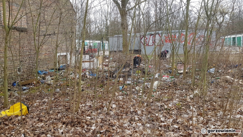 5/22 Społeczna akcja sprzątania Sadów