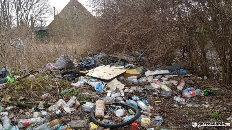 17/22 Społeczna akcja sprzątania Sadów