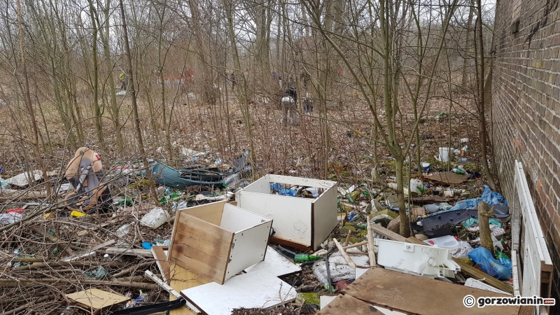 19/22 Społeczna akcja sprzątania Sadów