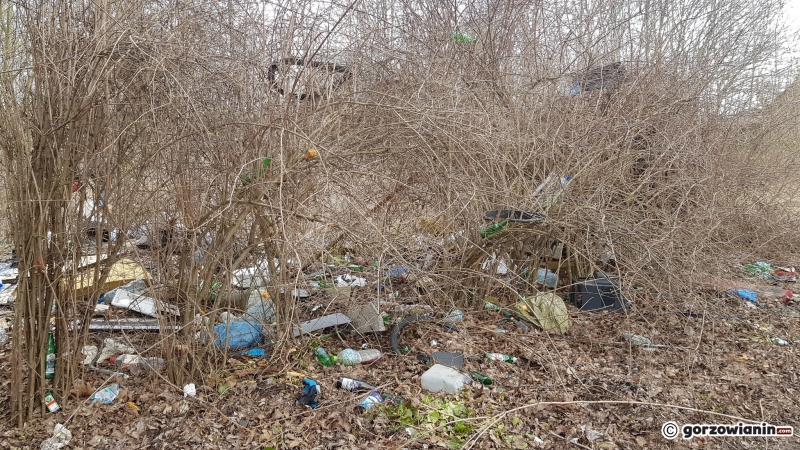 22/22 Społeczna akcja sprzątania Sadów