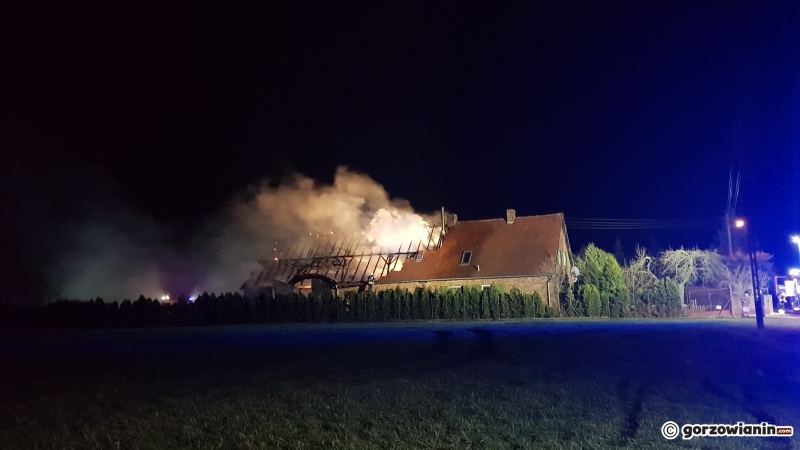 5/7 Pożar domu w Wysokiej