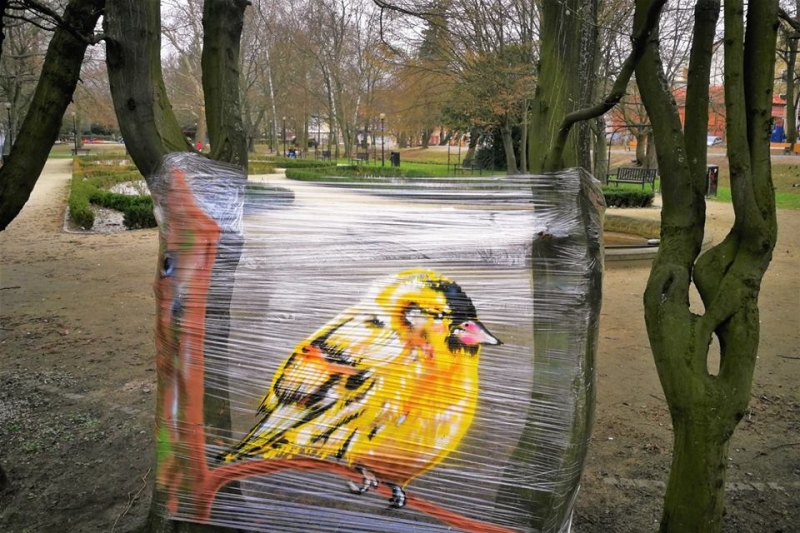 13/17 Wiosennie w parku Wiosny Ludów