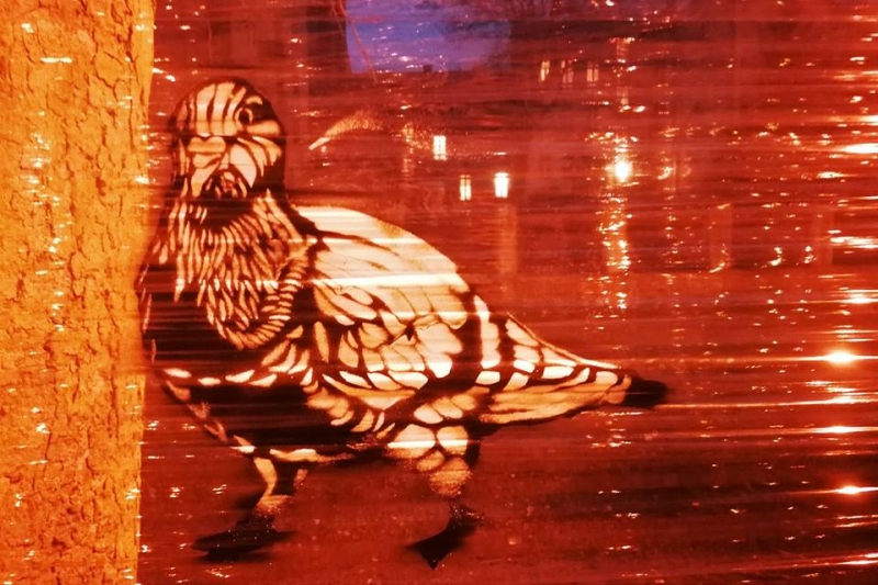 14/17 Wiosennie w parku Wiosny Ludów