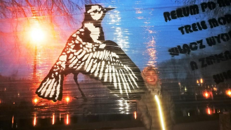 15/17 Wiosennie w parku Wiosny Ludów