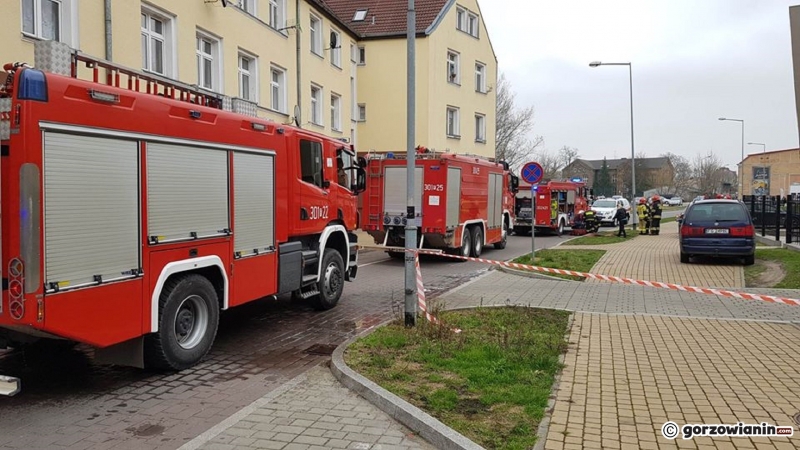 7/9 Akcja straży w Nova Park