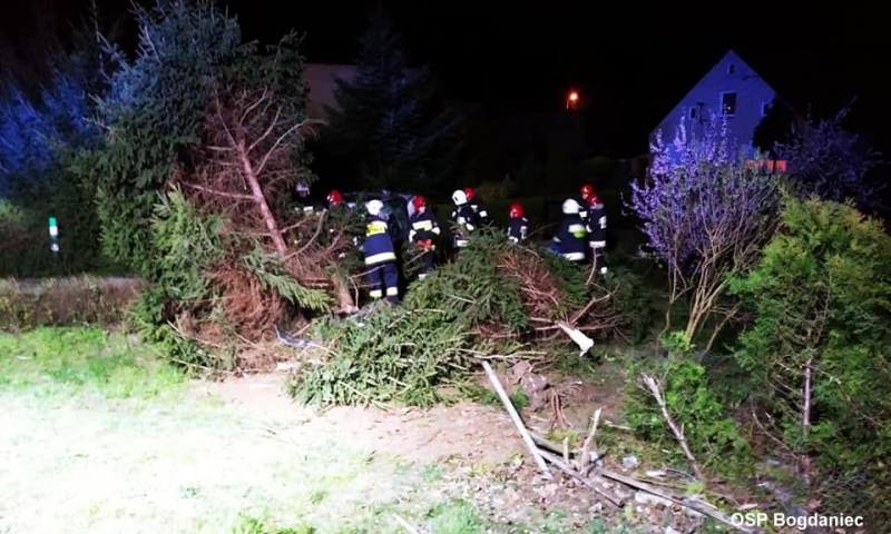 6/7 Dachowanie w Gorzowie i Jeninie