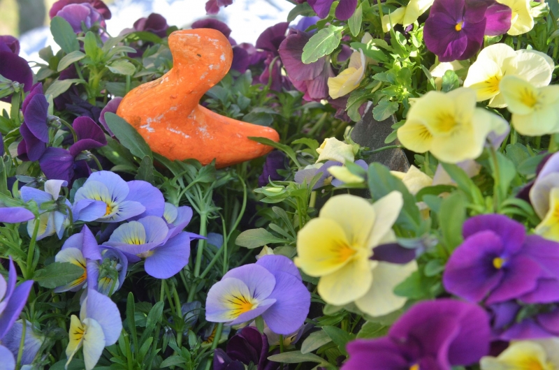 14/14 Gorzowianie ozdobili pisanki na Kwadracie