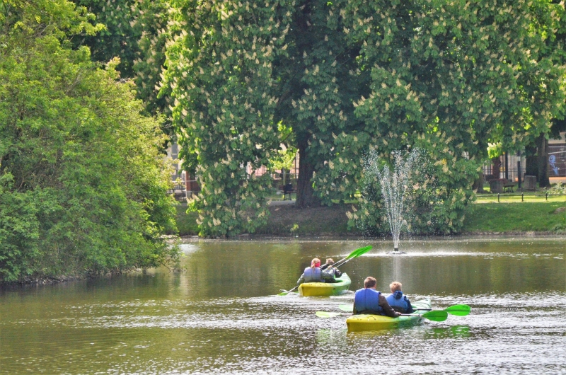 8/13 Piknik w parku Róż