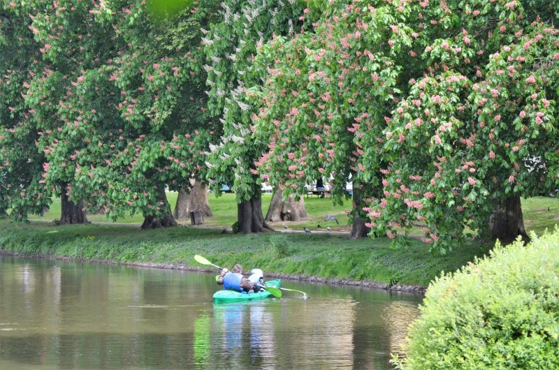 13/13 Piknik w parku Róż