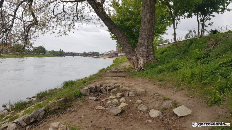 6/8 Nad Wartą powstanie ścieżka pieszo-rowerowa