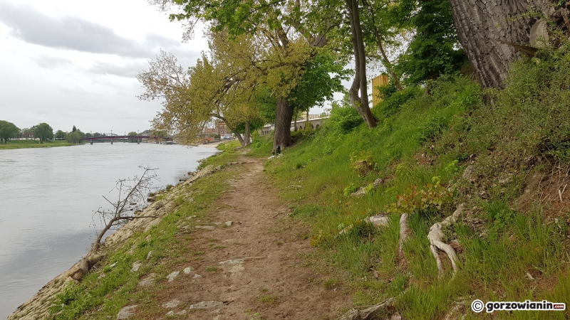 7/8 Nad Wartą powstanie ścieżka pieszo-rowerowa