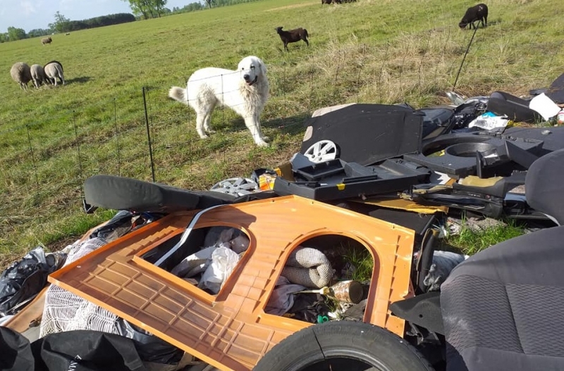 3/16 Dzikie wysypisko śmieci na łące