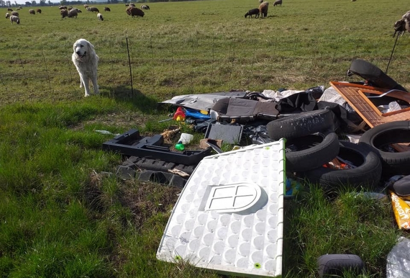 11/16 Dzikie wysypisko śmieci na łące