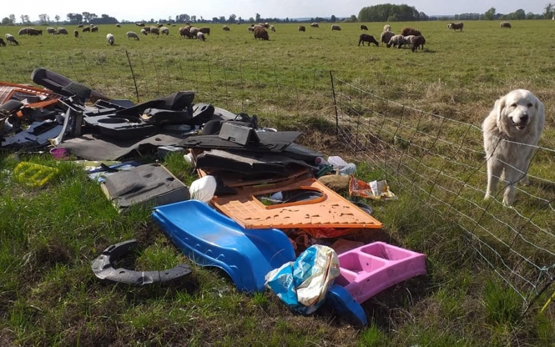 15/16 Dzikie wysypisko śmieci na łące