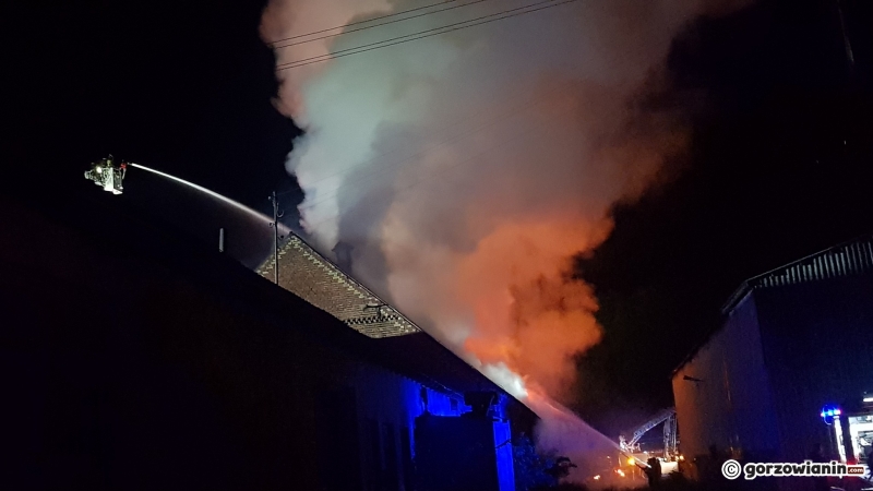 3/9 Pożar w Kłodawie i Wojcieszycach